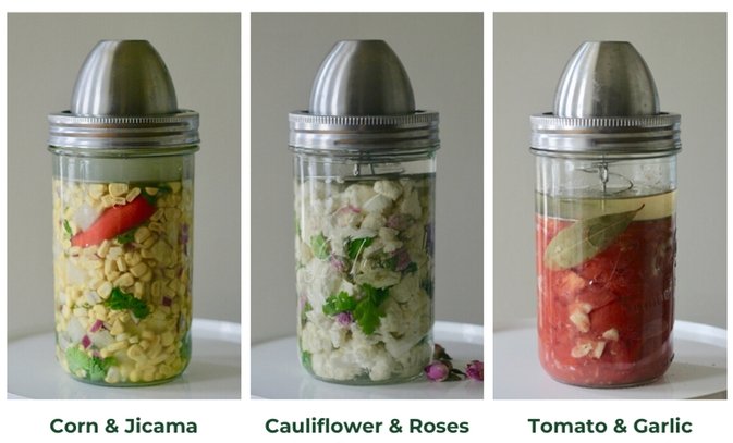 Le Parfait | ChouAmi, Fermentation Kit