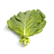 Bentley Seed Co. - Collards-Southern Giant 1871: A bunch of large, flat collard green leaves bound at the stems, offering a classic mustard green flavor.
