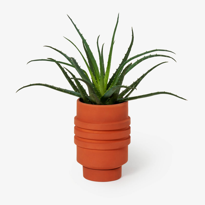 Areaware - Strata Plant Vessel: Yellow, a ceramic planter with layered design inspired by Simone Brewster’s jewelry, showcasing a plant elegantly nestled within.