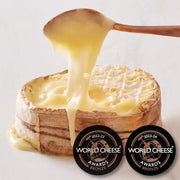 Perrystead Dairy - Treehug cheese, wrapped in spruce bark, with a wooden spoon on top, showcasing its rich, spoonable interior.