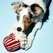 Young puppy playfully tugs on the Ware of the Dog - Hand Knit Pop Corn Dog Toy, a fair-trade, lambswool plush crafted by Nepali artisans.