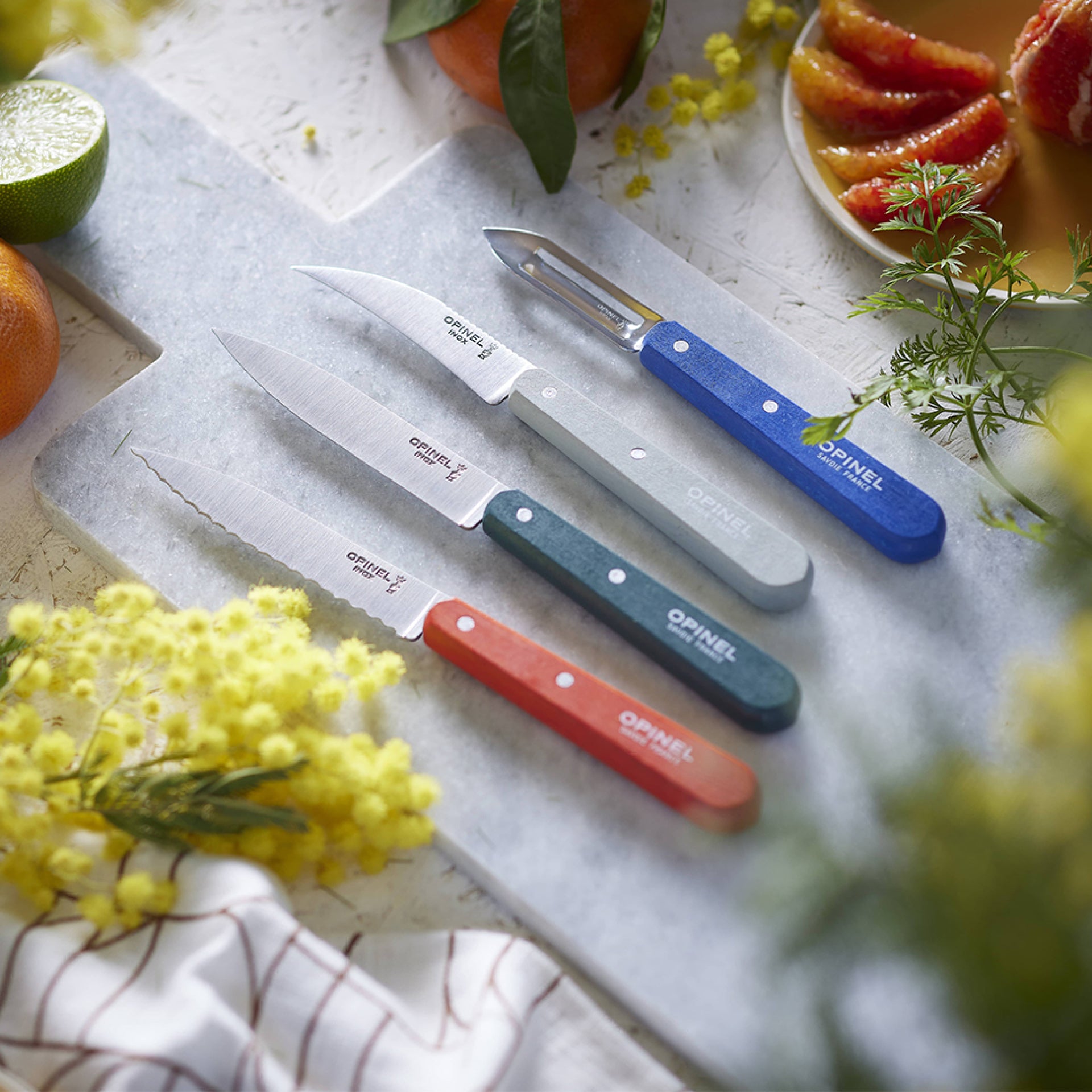 Opinel Essential Small Kitchen Knife Set