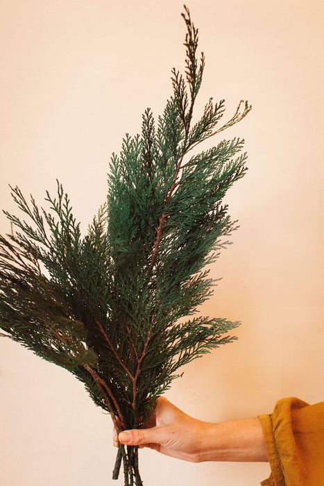 Idlewild Floral Co | Preserved Cedar