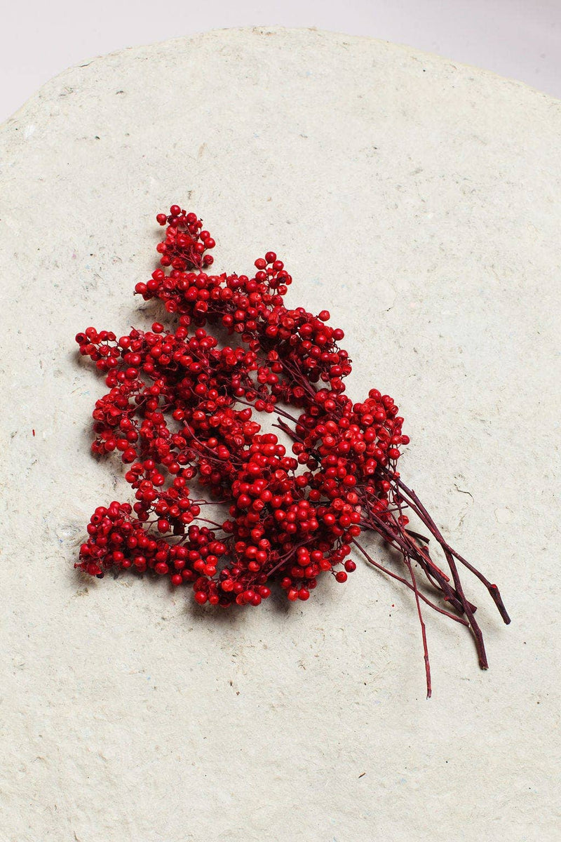 Idlewild Floral Co. | Preserved Red Pepperberry