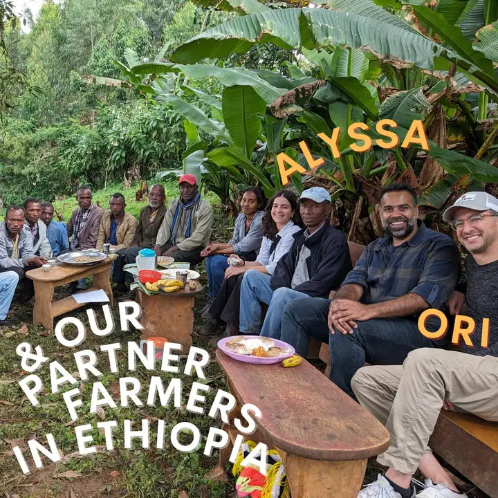 Burlap & Barrel - Berbere spice at a casual outdoor meal in Ethiopia with local farmers, featuring plates of food under banana trees.