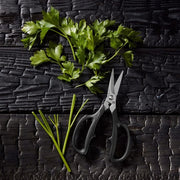 Shun | Kitchen Herb Shears, 7.5 inches, on wood, with freshly-cut parsley. Features ergonomic grip, stainless steel blades, and easy-clean separation for precise herb cutting.