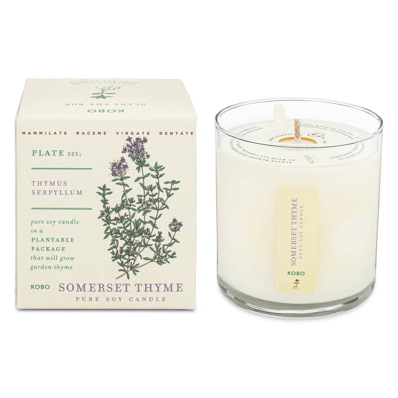 KOBO - Somerset Thyme - Plant the Box Candle in a glass container, accompanied by a plant-themed box, offers a blend of thyme and sage aromas.