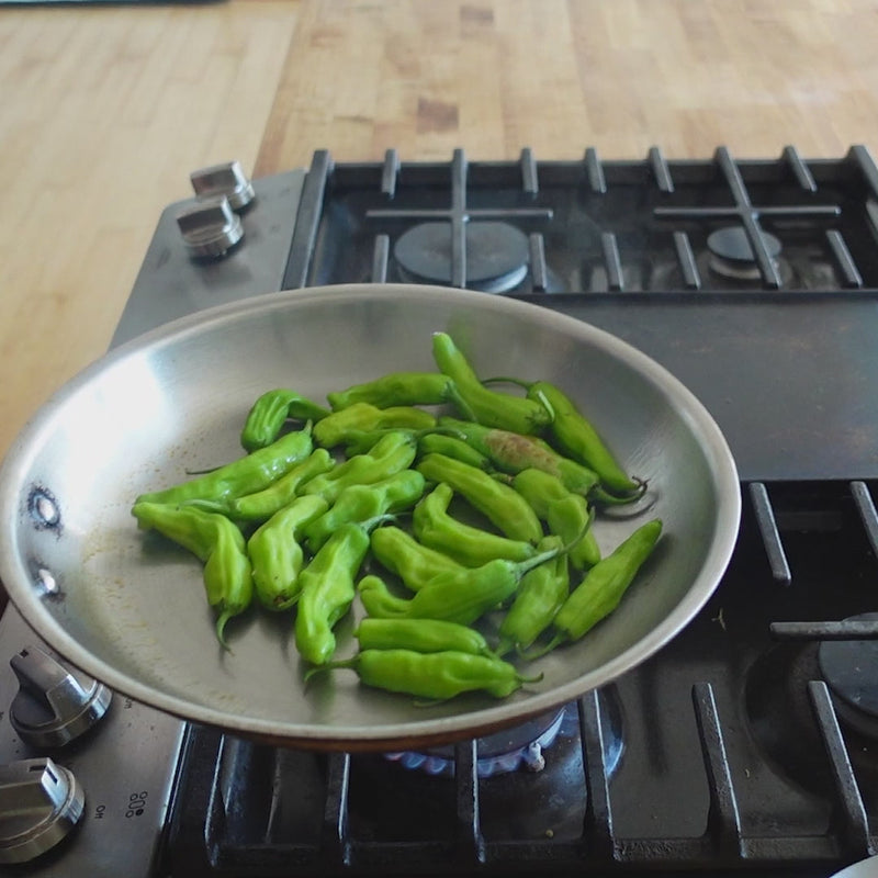 Heritage Steel | Titanium Series 12" Fry Pan with Lid