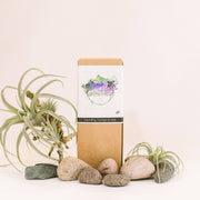 Root & Splendor | Laundry Soap Concentrate - Hush - 1.5L (100 Loads) featured with natural elements, emphasizing eco-friendly, non-toxic formula ideal for sensitive skin and fabric safety.