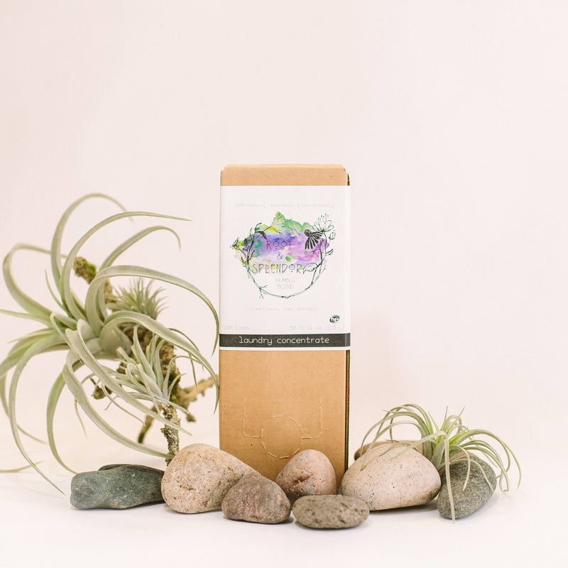 Root & Splendor | Laundry Soap Concentrate - Hush - 1.5L (100 Loads) featured with natural elements, emphasizing eco-friendly, non-toxic formula ideal for sensitive skin and fabric safety.
