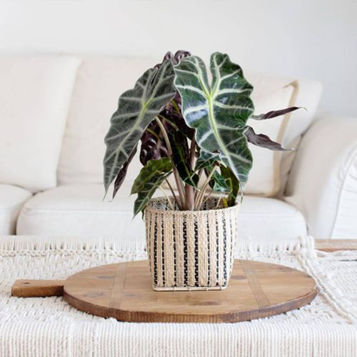 NEEPA HUT | Hanging Storage Basket