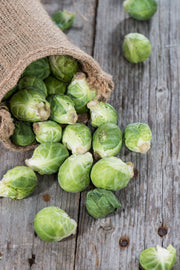 Bentley Seed Co. - Brussel Sprouts-Long Island 1890's seeds spilling from burlap sack on rustic wood, showcasing fresh, vibrant sprouts emphasizing farm-to-table appeal.