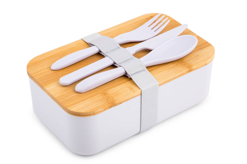 Large Tiffin Lunch Box, 2 Layer