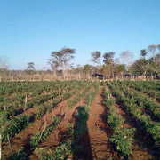Burlap & Barrel | Cobanero Chili Flakes.