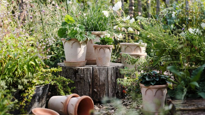 Bergs Potter | Elizabeth Rosa