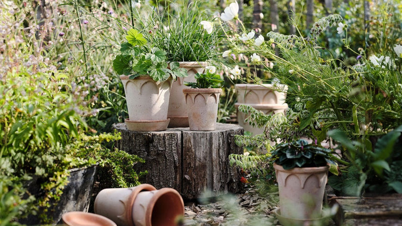 Bergs Potter | Elizabeth Rosa