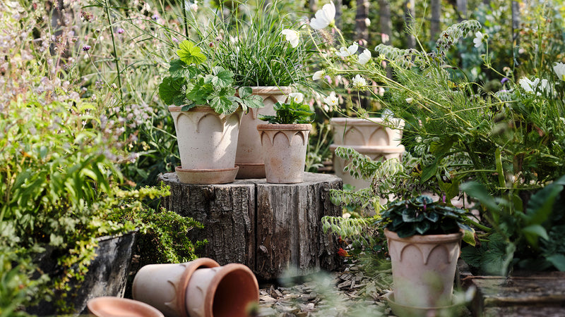 Bergs Potter | Elizabeth Rosa