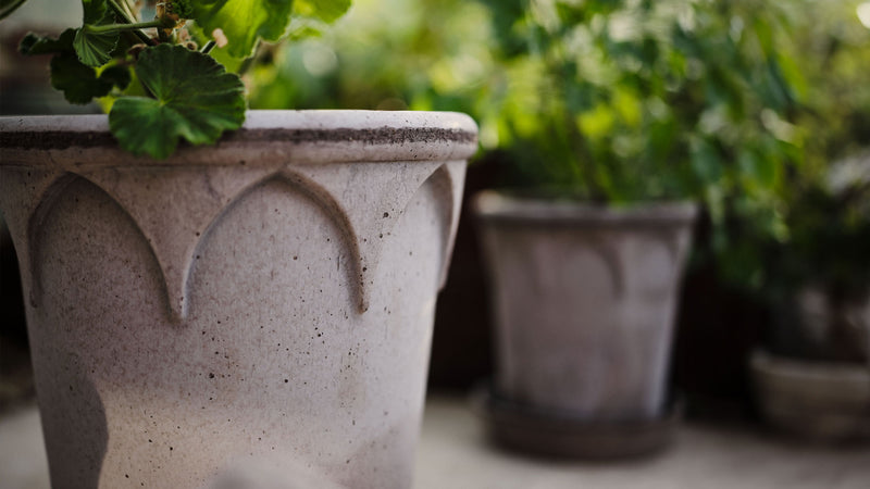 Bergs Potter | Elizabeth Rosa