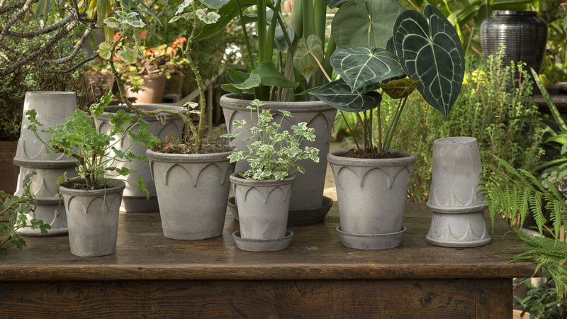 Bergs Potter | Elizabeth Rosa