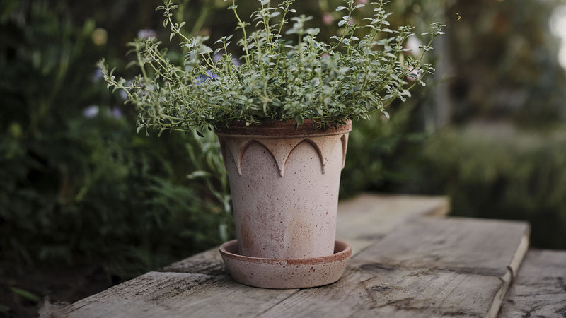 Bergs Potter | Elizabeth Rosa