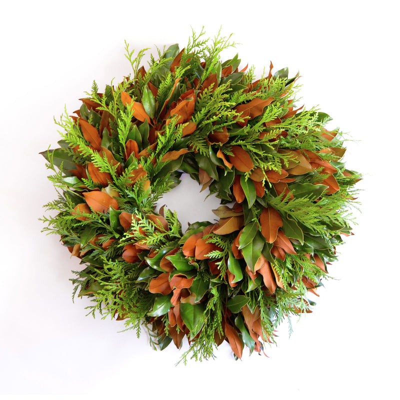 Conifer Magnolia Wreath featuring lush green magnolia leaves with brown undersides and conifer sprigs, perfect for elegant home decor or gifting.