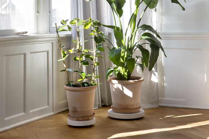 Bergs Potter | Elizabeth Rosa