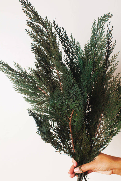 Idlewild Floral Co | Preserved Cedar