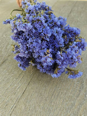 Alissas Flower Farm - Wreath: Stuffed with Statice: Rose Shades displayed on a wooden surface, showcasing a vibrant, natural arrangement ideal for indoor decor.