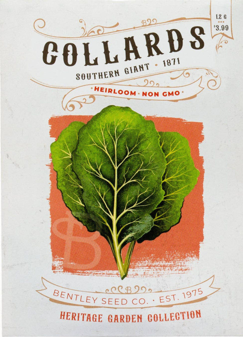 Bentley Seed Co. - Collards-Southern Giant 1871 seed packet label featuring heirloom, non-GMO collard leaves illustration and growing instructions, priced at $3.99.