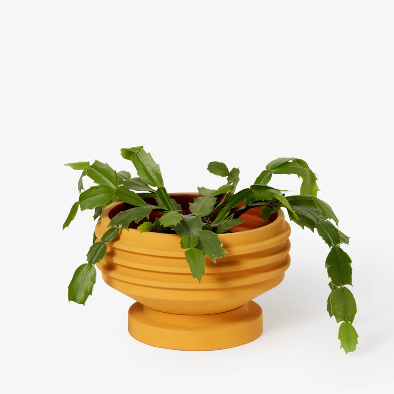 Areaware - Strata Plant Vessel: Green, a ceramic planter with layered shapes, designed to conceal the saucer, inspired by Simone Brewster’s sculptural heritage.