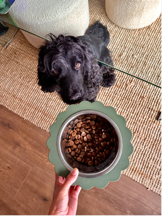 Oscar & co - Dog bowl in the shape of a daisy: Kaki / S