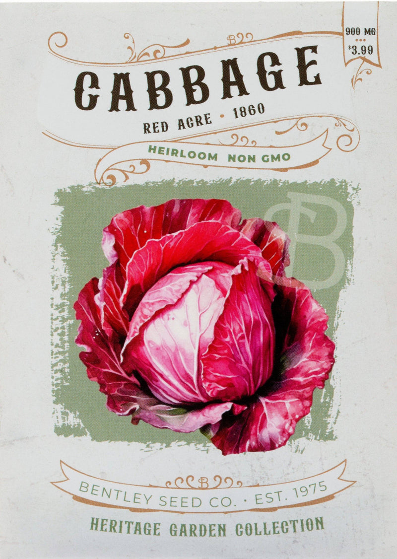 Bentley Seed Co. - Cabbage-Red Acre 1860 seed packet, featuring heirloom red cabbage, priced at $3.99, ideal for vibrant, nutritious meals.