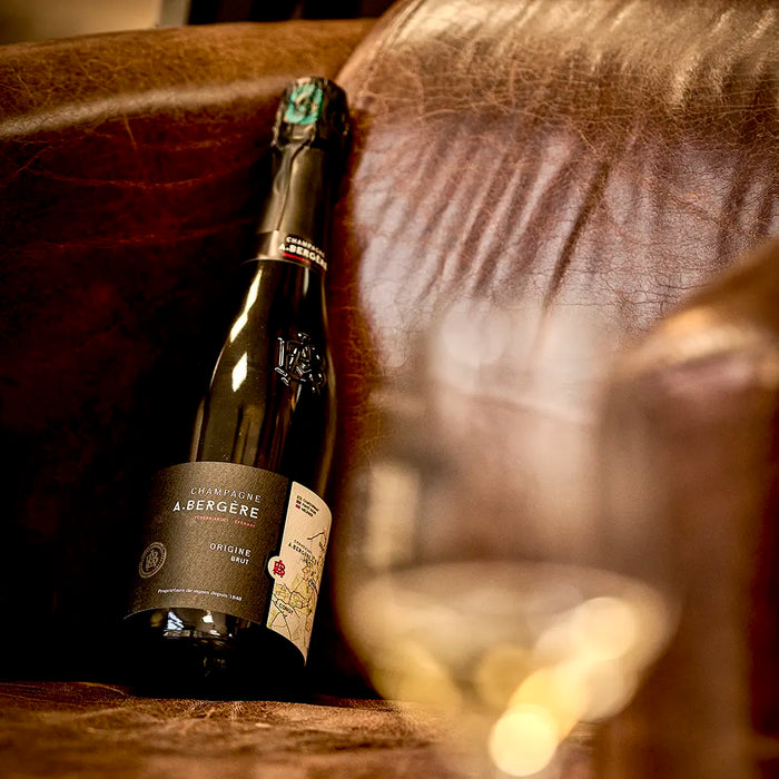 Champagne A. Bergère | Millésime 2013 Brut