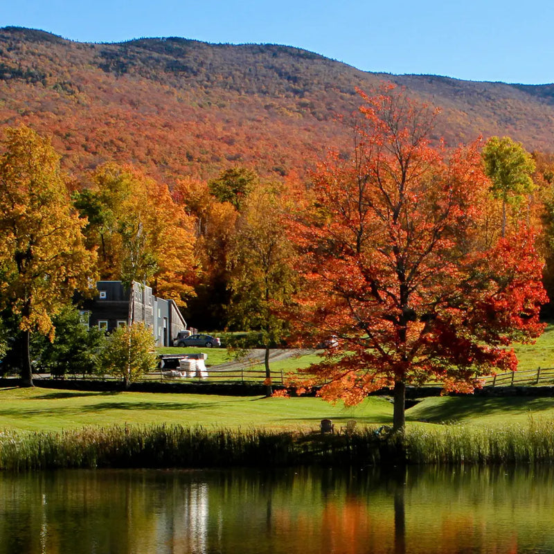 Runamok | Pumpkin Spice Infused Organic Maple Syrup
