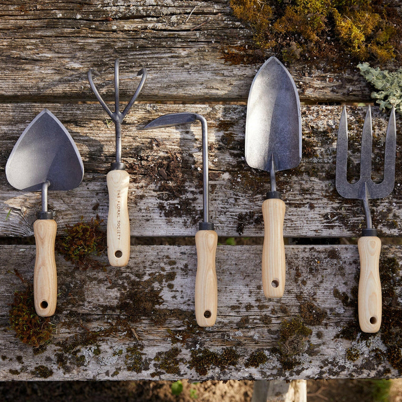 The Floral Society | Garden Tools - Potting Trowel hand-forged from boron steel with a sustainably harvested ash handle, ideal for filling pots and containers.