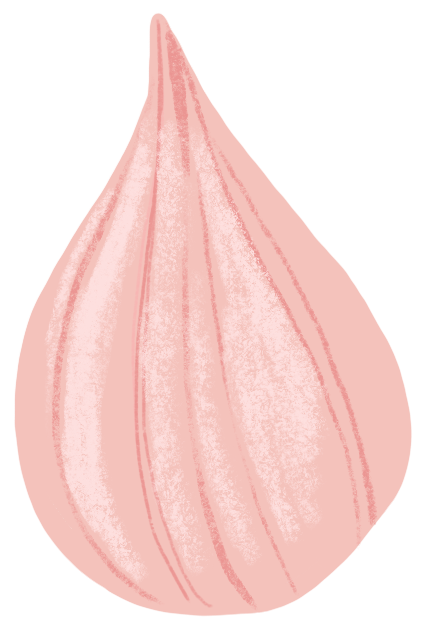 Diaspora Co Spices | Pahadi Pink Garlic