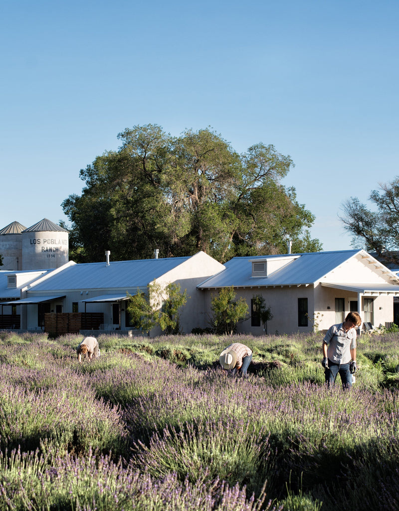 Los Poblanos | Vel a de la Hacienda Spa Candle