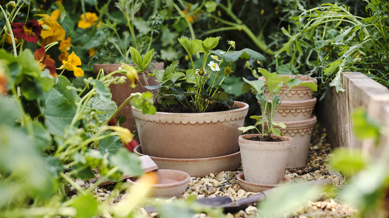 Bergs Potter | Helena Rosa