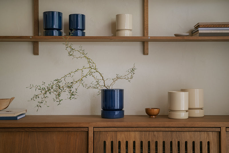 Bergs Potter | Planet Venus