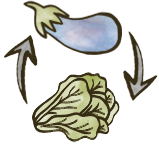 Jacobsen Salt Co. | Savory Citrus Brine