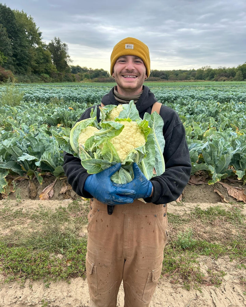 Kitchen Garden Farm | Giardiniera