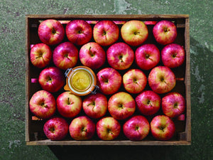 Le Parfait | Super Terrine, 500ml (16oz)