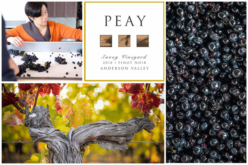 Savoy Pinot Noir 2022