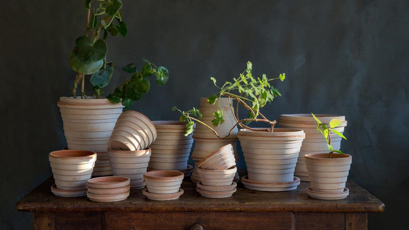 Bergs Potter | Planet Venus