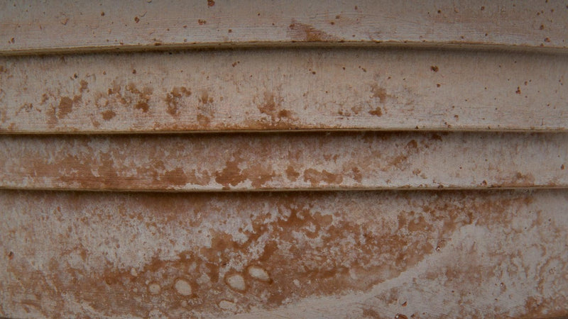 Bergs Potter | Planet Venus