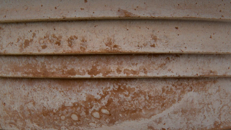 Bergs Potter | Planet Venus