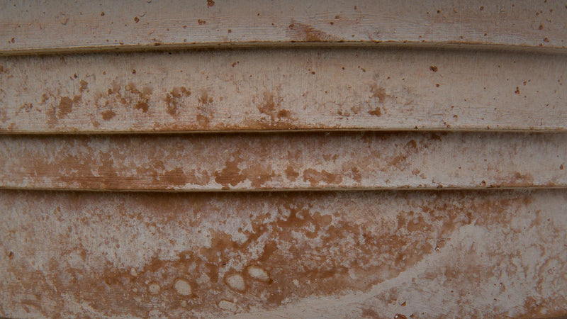 Bergs Potter | Planet Venus