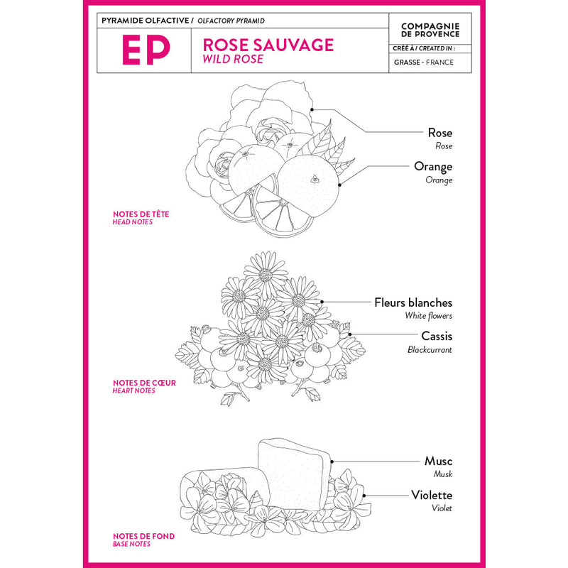 Compagnie de Provence | Liquid Marseille Soap - Wild Rose