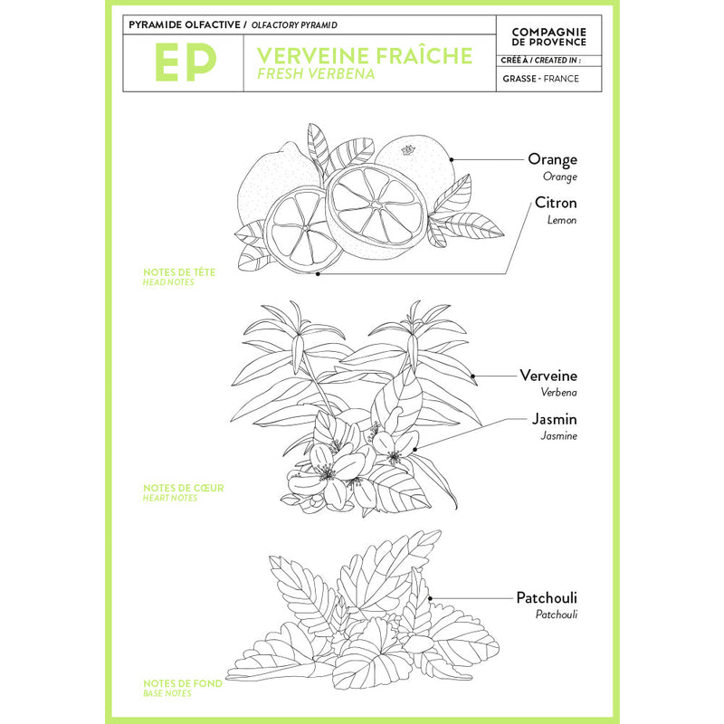 Compagnie de Provence | Liquid Marseille Soaps - Fresh Verbena