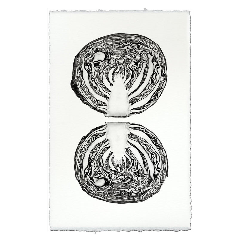 Barloga Studios | Red Cabbage on Nepalese Hand-Made Paper, 9x14 inches